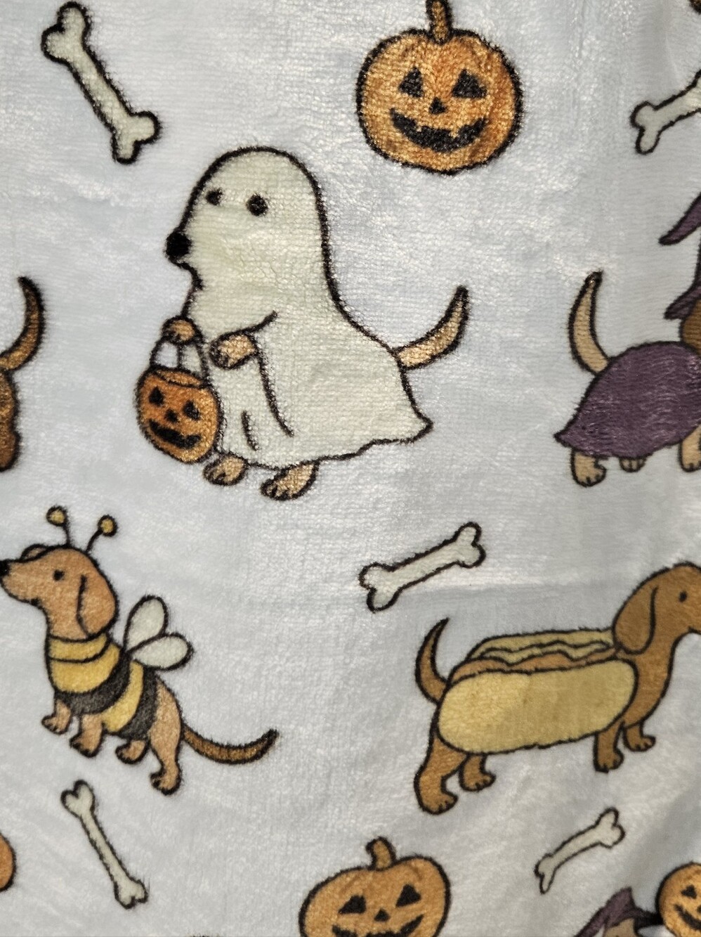 đ Pickle & Dot Dachshund Halloween Oversized Plush Throw Blanket 60â x 70â NWT - Picture 7 of 9